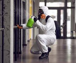 Best Environmental Consulting for Mold Prevention  in Provo, UT